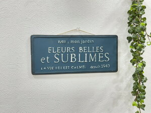 uLv[g Xu[v[gBL UN2121 AeB[Nu[@K[fI[ig t` Ǌ|