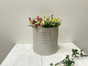 Aؔ@OEh@2944@T[Nv^[@MȂ@AVr[@AeB[N@@Aؔ@@킢Aؔ@Aؔ@OXt@Co[@yRCPz