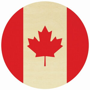 a9cm  R[X^[ ؐ Ji_ UV ی^  X Xg v[g Mtg