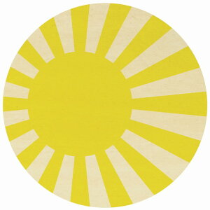 a9cm  R[X^[ ؐ  CG[ UV ی^  X Xg v[g Mtg