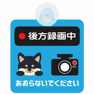 Z[teBTC   ^撆 Ȃł u[ zՃ^Cv ^] ΍  ΍Жh~^Cv