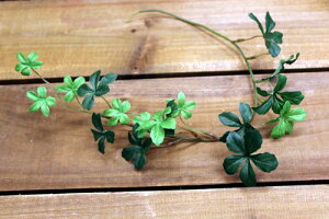 ~jVTXACr[oCiVK[oCj O[051a A[gt[EC~e[VElHϗtA