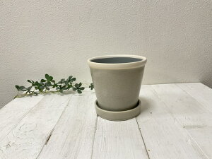 i󂯎MtjObV[|bgM [~Xg@30738v^[@A@@K[f|bg@@u@@Aؔ@@@O[@Vv@ϗtA@A