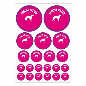 hbO XebJ[ CObVZ^[ sNp[v A4TCY ܂Ƃ߂ċlߍ킹 TCY ی^ 21Zbg  V[ J[XebJ[  Lv  hbOt[hp