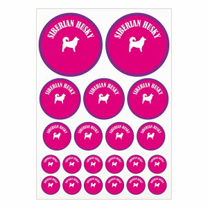 hbO XebJ[ VxAnXL[ sNp[v A4TCY ܂Ƃ߂ċlߍ킹 TCY ی^ 21Zbg  V[ J[XebJ[  Lv  hbOt[hp