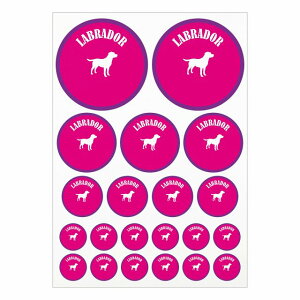 hbO XebJ[ uh[ sNp[v A4TCY ܂Ƃ߂ċlߍ킹 TCY ی^ 21Zbg  V[ J[XebJ[  Lv  hbOt[hp