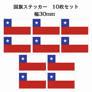 30x17mm 10Zbg ` Chili  XebJ[ JbeBOV[g V[ National Flag   r