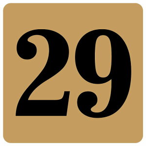 ԍV[ io[ V[ 27x27cm CguE  29 ē 싅 X|[c bJ[ Cxg  X Xg HX [ Ȕԍ e[uԍ ֎qԍ