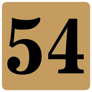 ԍV[ io[ V[ 27x27cm CguE  54 ē 싅 X|[c bJ[ Cxg  X Xg HX [ Ȕԍ e[uԍ ֎qԍ