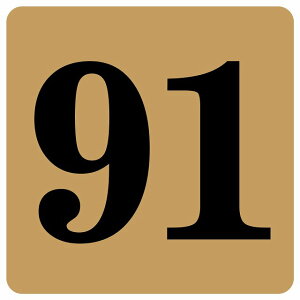 ԍV[ io[ V[ 27x27cm CguE  91 ē 싅 X|[c bJ[ Cxg  X Xg HX [ Ȕԍ e[uԍ ֎qԍ