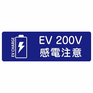 �l�C�r�[ �o�b�e���[ EV 200V 12x4cm �[�d �`���[�W ���d���� �d�C������ �[�d�|�[�g �[�d�X�^���h EV�X�e�[�V���� �X�e�b�J�[ �V�[��