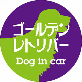 Dog in car ドッグインカー ステッカー カーステッカー ゴールデンレトリバー レトロ書体 パープルグリーン カッティングシート シール 煽り運転対策
