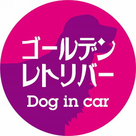 Dog in car ドッグインカー ステッカー カーステッカー ゴールデンレトリバー レトロ書体 ピンクパープル カッティングシート シール 煽り運転対策