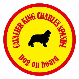 Z[teBTC XebJ[ Jt Dog on board ی^ LoALO`[YXpjG CG[ a13cm ^] ΍ J[XebJ[  A EChE