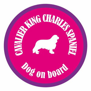 Z[teBTC XebJ[ Jt Dog on board ی^ LoALO`[YXpjG sNp[v a13cm ^] ΍ J[XebJ[  A EChE