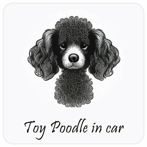 Dog in Car gCv[h A^Cv ` 13x13cm V[
