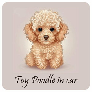 Dog in Car gCv[h B ^Cv ` 13x13cm V[