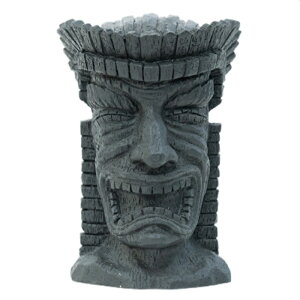 HAWAIIAN TIKI KlX^h ubN  CeA j[N ዾu nC G AeB[N X^h