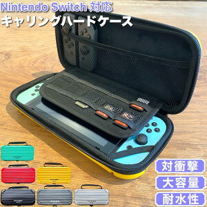 switch P[X@n[hP[X@X[cP[X^ nintendo switch y ϏՌ ֗ uh Y fB[X A^bVP[X v`Mtg DEPTH AND DEMAND