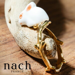 nach ETM w fB[X  O tX uh  ANZT[ v[g 킢 Mtg   ibV