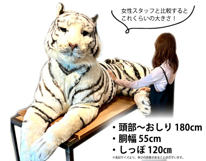 楽天市場】ホワイトタイガー ぬいぐるみ 虎 特大 リアル 高級 