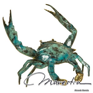 Marestia }XeBA u[ENu(L) uIuWF I Jj I[ig  u CeA ^J  uY AeB[N  K[f e[u  Xܑi