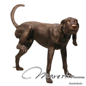 Marestia �A�����J���E�t�H�b�N�X�n�E���h �I�u�W�F �}���X�e�B�A �C���e���A�u�� �y�I�[�i�����g �u���� ���� �^�J �u�����Y�z�y�� �h�b�O ���֏��m�z�y�� �K�[�f�� �e�[�u�� ���� �X�ܑ���