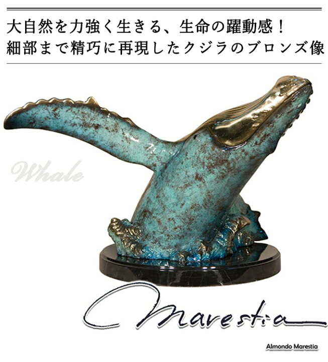 楽天市場】Marestia マレスティア ホエール(ザトウクジラ) 置物 