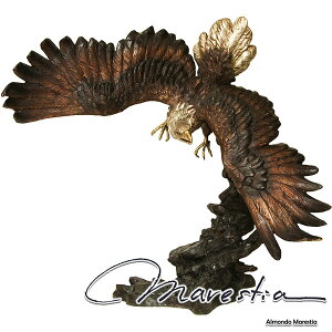 Marestia }XeBA 󂷂h C[O IuWF y  I[ig   AeB[N CeA Xܑ  uY u u  K[f N JtFŔ 