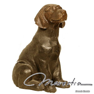 Marestia `FTs[NExCEg[o[ IuWF }XeBA CeA u yI[ig u  ^J uYzy hbO go[zy K[f e[u  X