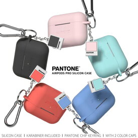 AirPods AirPodsPro ケース 韓国 韓国雑貨 PANTONE シンプル カバー 傷防止 保護 アクセサリー イヤホンケース AirPodsケース AirPodsプロケース プロ エアーポッズ エアポッズ エアポッド 本体 イヤホン apple おしゃれ かわいい プレゼント