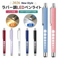 ＼期間限定30%OFFクーポン／ ペンライト 医療用 LED 強力 ナースペンライト 白色 暖色 電池式 ナース 医…