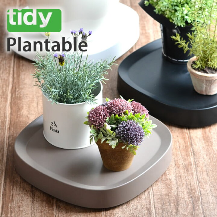 楽天市場】【4月1日はP10倍祭り】ティディ プランタブル tidy 