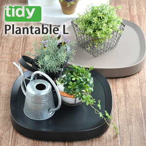 y910|Cgő10{ՁzeBfB v^uE[W tidy Plantable L Aؔ  gC LX^[ OT-668-101  LX^[ LX^[t  ϗtA  eg G k