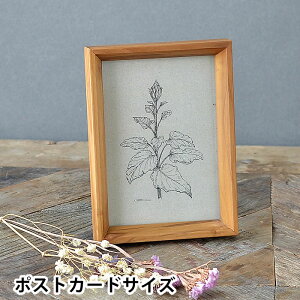 tHgt[ `[Nt[ |XgJ[h |XgJ[hTCY  AeB[N ؐ Ǌ| u ʐ^ 킢 ʐ^ Vv X^h ؖ k v[g