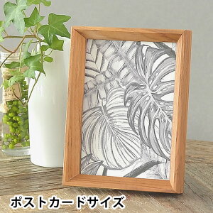 y111ő|Cg10{ՁztHgt[ VV[Y tHgt[ |XgJ[hTCY |XgJ[h  AeB[N ؐ Ǌ| u ʐ^ 킢 ʐ^ Vv