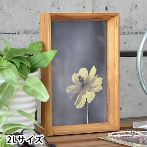 y111ő|Cg10{ՁztHgt[ VV[Y tHgt[ 2LTCY 2L  AeB[N ؐ Ǌ| u ʐ^ 킢 ʐ^ Vv X^h ؖ k