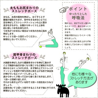 楽天市場 Moz モズ ストレッチ クッション 骨盤 スリム 骨盤枕 背中 日本製 バストアップ むくみ 気持ちいい 脚 クッション 北欧 運動不足 解消 ゆがみ おうち時間 ダイエット エクササイズ 健康 骨盤体操 綿100 雑貨ショップドットコム