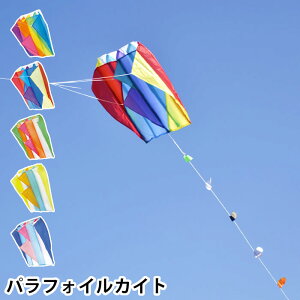 ptHCJCg  ^R X|[cJCg OV  ߋ q OV OV l g  AEghA W[   킢