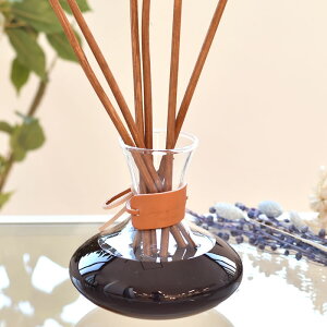 Carafe JtF fBt[U[ pXeBbNt fBt[U[ fBt[U[ XeBbN e 500ml [ Vp[j [hfBt[U[ uS[j Zbg  [t