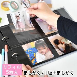 tB MTCY 5 Home oC_[ Ao ͏o ܂ L oC_[  |Pbg e ǉ xr[ 䎆 p 䎆 |Pbg ʐ^  Ԃ tHgA