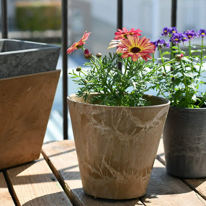 楽天市場 植木鉢 Amabro アートストーン Ssサイズ Art Stone プランター 5号 6号 室内 鉢 おしゃれ ポット 軽量 小さい 屋内 屋外 小型 陶器風 鉢カバー プラントポット アマブロ 雑貨ショップドットコム