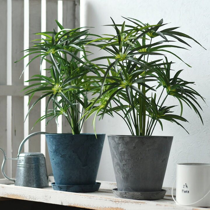 楽天市場】【7月5日はポイント最大10倍祭!!】＼楽天1位／ 植木鉢 