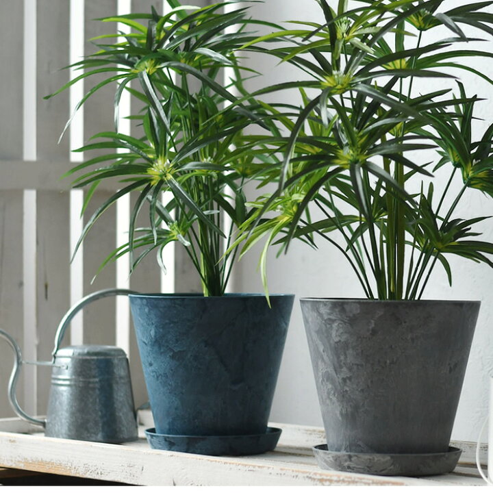 出色 受け皿 Amabro アートストーン ソーサー Mサイズ Art Stone Saucer 鉢皿 8号 9号 植木鉢 受皿 おしゃれ プランター 軽量 水受け アマブロ Riosmauricio Com