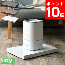 tidy ティディ Platform プラットフォーム 台車 平台車 キャスター台 キャリー カート 軽量 日本製 静音 キャスター おしゃれ シンプル 耐荷重40kg トローリー ワゴン ベッド下 収納 観葉植物 キャスター付き 台 テラモト