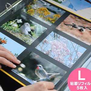 PDtHgAo yLTCYp StB5z OtHgAo S䎆 tB  Ao ʐ^ 䎆 DELFONICS ftHjNX ftHjbNX V