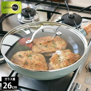 y121̓|Cgő10{ՁztCp W 26cm GREENPAN O[p XeXKXW 26cm O[p 26cm Mtg Lb`pi  KX KXW uߕ lC tCpJo