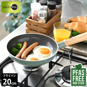 y910|Cgő10{ՁztCp 20cm GREENPAN O[p tCp 20cm Ct[ O[p tCp 20cm  A~ PFAS FREE ih tbfHȂ Mtg u[ 