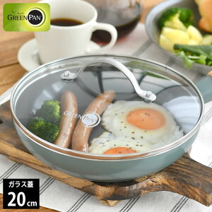 �t���C�p�� �W GREENPAN �O���[���p�� �X�e�����X�K���X�W 20cm �t���C�p�� �ӂ� �O���[���p�� �t���C�p�� �L�b�`���p�i �t���C�p���J�o�[ ������� �v���[���g �l�C �V���[�Y �u�ߕ� �K���X�W 2