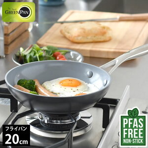 フライパン 20cm ダイヤモンド GREENPAN グリーンパン フライパン 20cm ヴェニス プロ グリーンパン フライパン 丈夫 熱伝導 調理器具 ギフト 20cm コーティング ガス 耐久性 お手入れ簡単 フッ素加